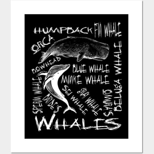 Whales T Shirt and Gifts Ideas Marine Biology Marine Biologist Shirt Posters and Art